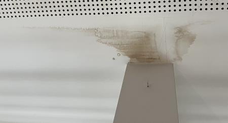 Osnovna šola Toma Brejca (2)